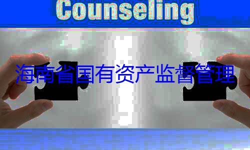 委副书记王有福接受审资产监督管理委员会党海南省国有查调查